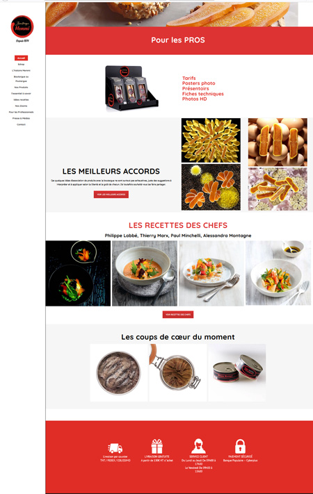 site pro e-commerce