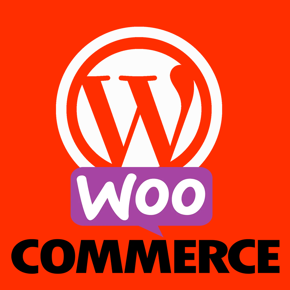 site woocommerce pour insta shop